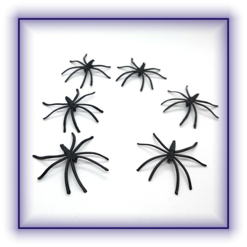 Stück spinne spinnen - 6,