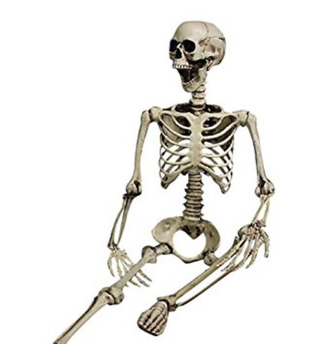 Skelett halloween 96cm - halloween,