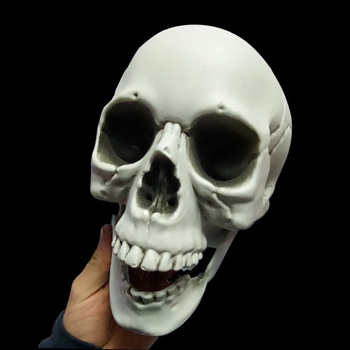 Halloween schädel dekoration - schädel,