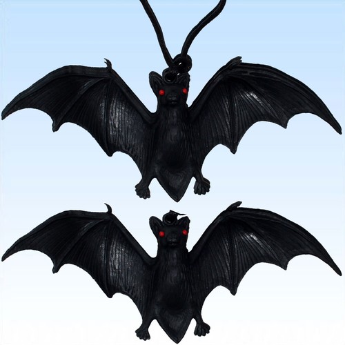 Kleine fledermaus zum - x,