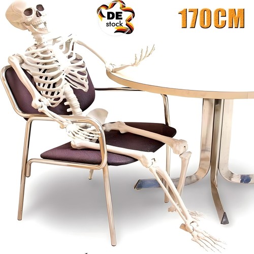 Skelett halloween ganzkörper - skelett,