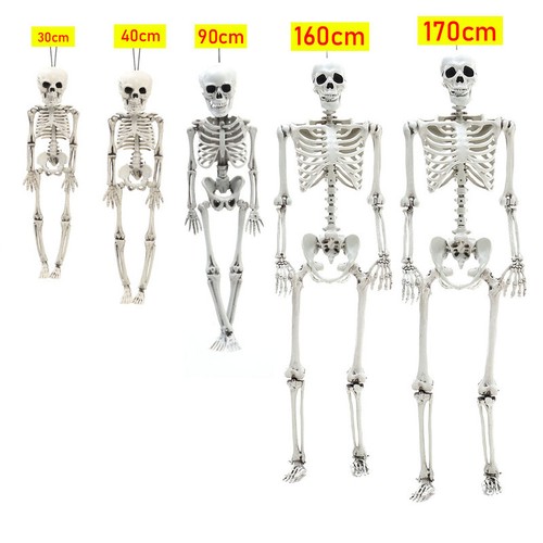 185cm halloween skelett - 40-185cm,
