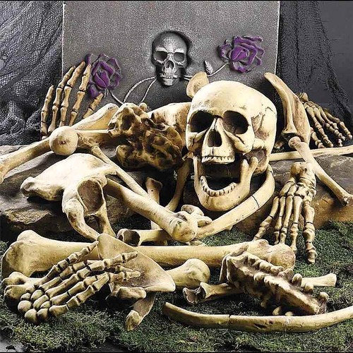 Teiliges set totenkopf - set,