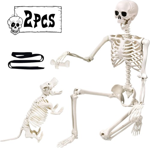 Halloween skelett 165cm - halloween,