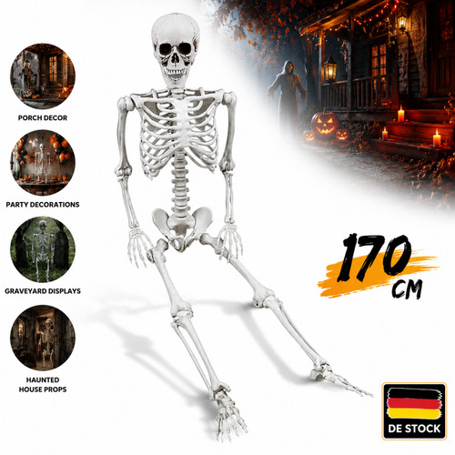 Skelett halloween ganzkörper - skelett,