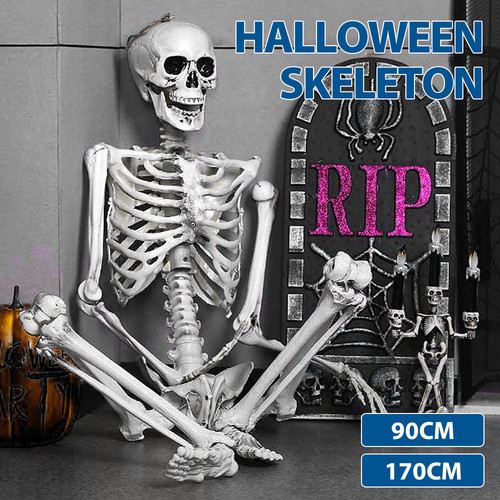 Skelett halloween ganzkörper - skelett,
