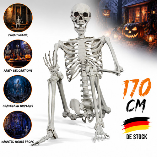 Deko skelett halloween - skelett,