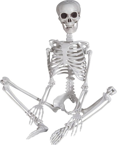 Halloween skelett 90cm plastik - halloween,