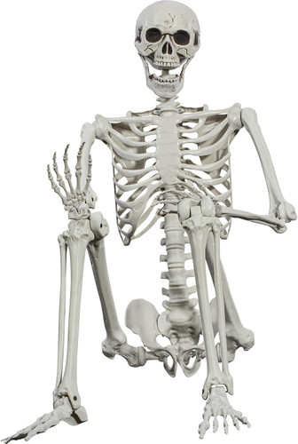 Halloween skelett 165cm - skelett,